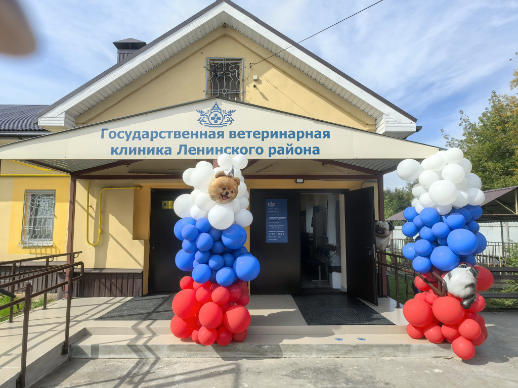 Саркомы мягких тканей. Постинъекционная саркома кошек.