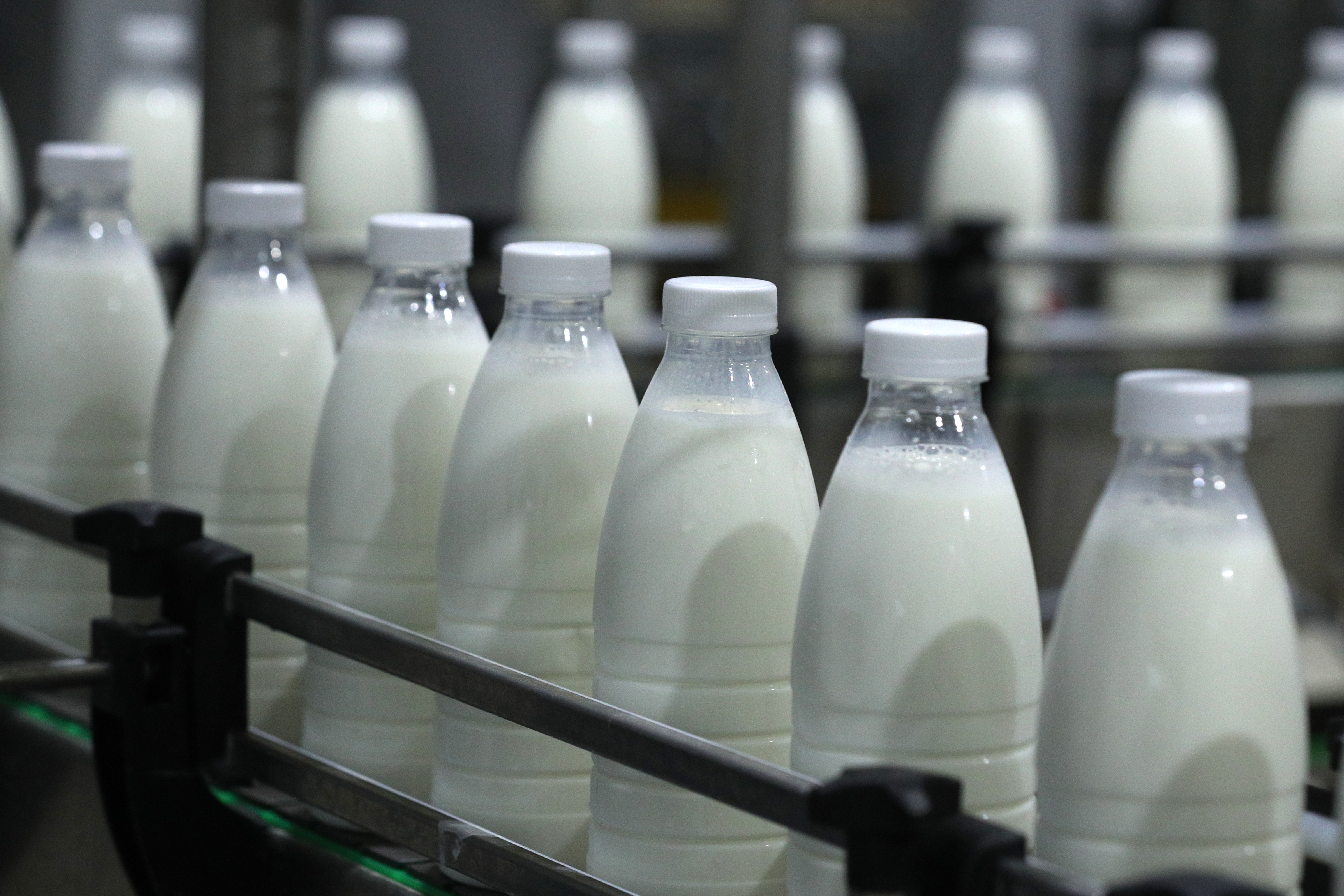 Ньюс молочный. Молочная промышленность. Производство молока. Производители молочных продуктов. Молоко производители.