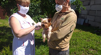 Домашних животных бесплатно вакцинируют до 28 апреля в Приокском районе Нижнего Новгорода