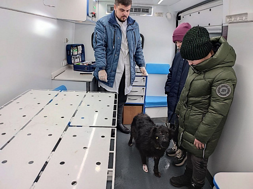 Ветеринарный «поезд здоровья» начал свою работу в Нижегородской области