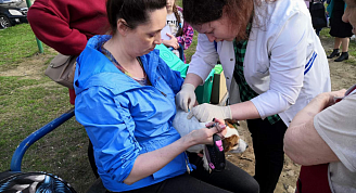 График бесплатной выездной вакцинации кошек и собак от бешенства в Приокском районе Нижнего Новгорода