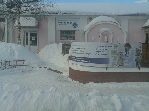Переезд ветеринарного кабинета Сормовского района Нижнего Новгорода