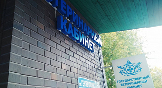 Итоги первых двух месяцев работы ветеринарного кабинета Сормовского района Нижнего Новгорода по новому адресу