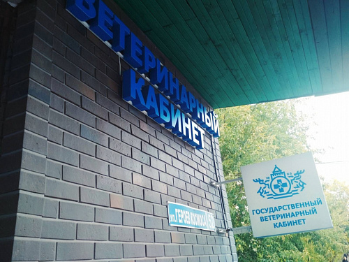 Итоги первых двух месяцев работы ветеринарного кабинета Сормовского района Нижнего Новгорода по новому адресу
