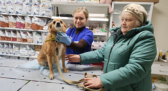 Пятый государственный ветеринарный кабинет начал работу в Нижнем Новгороде
