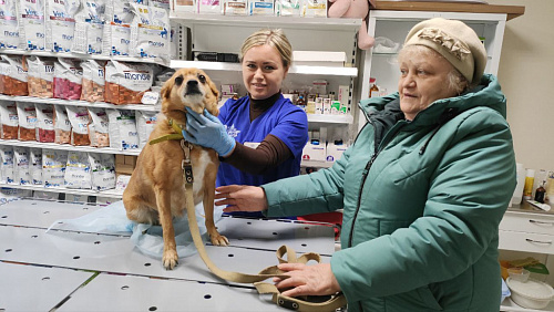 Пятый государственный ветеринарный кабинет начал работу в Нижнем Новгороде